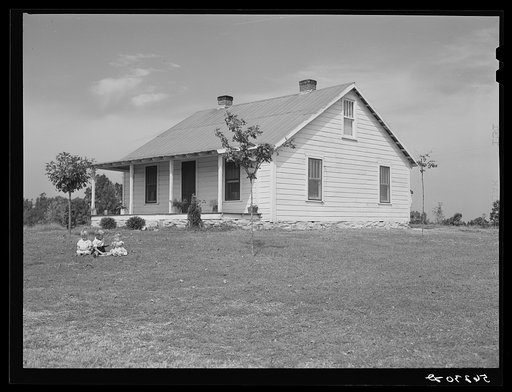 Untitled photo, possibly related to: The W.H. Willis' home which they built themselves with a tenant purchase loan and the ground improvement and planting and landscaping they did on a work grant. Near Yanceyville, Caswell County, North Carolina