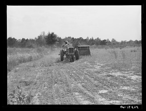 Untitled photo, possibly related to: Harvesting soybean seed on the Roger's farm with co-op combine purchased by Emery M. Hooper through a FSA (Farm Security Administration) co-op community service loan. Corbett Ridge section, Caswell County, North Carolina