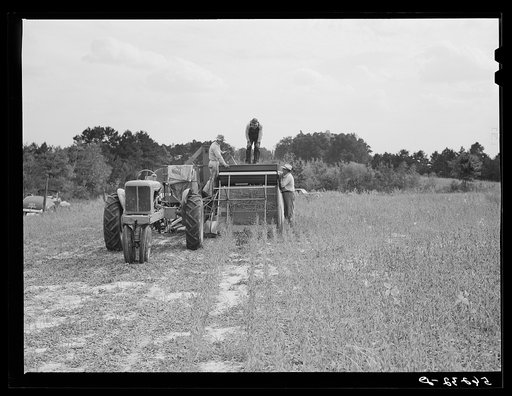 Untitled photo, possibly related to: Harvesting soybean seed on the Roger's farm with co-op combine purchased by Emery M. Hooper through a FSA (Farm Security Administration) co-op community service loan. Corbett Ridge section, Caswell County, North Carolina