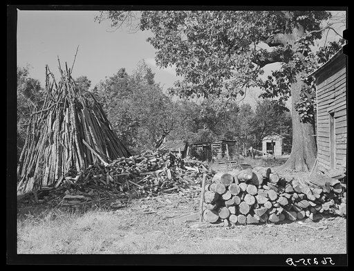 Stacks of wood for fuel on Emery Hooper's farm. Corbett Ridge section near Prospect Hill, Caswell County, North Carolina