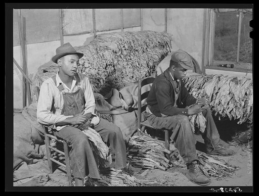 Untitled photo, possibly related to: Grading and stripping tobacco in the pack house on Emery M. Hooper's farm in Corbett Ridge section. Caswell County, North Carolina