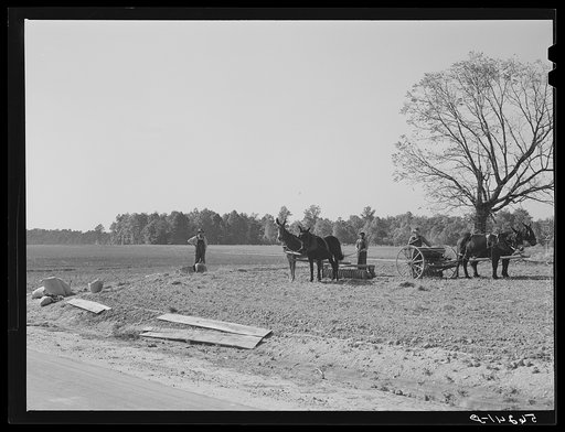 Planting winter wheat on farm near Yanceyville. Caswell County, North Carolina