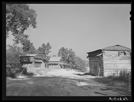 Tobacco barns at the crossroads near Hightowers and Prospect Hill. Caswell County, North Carolina