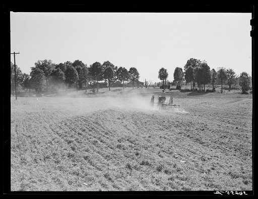 Discing and preparing land before planting winter grain crop on Wood's farm, a few miles north of Yanceyville on Danville road. Caswell County, North Carolina