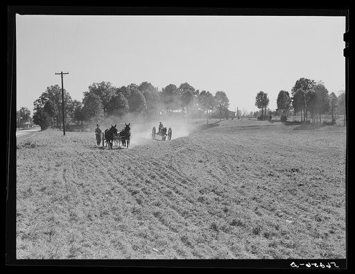 Discing and preparing land before planting winter grain crop on Wood's farm a few miles north of Yanceyville on Danville road. Caswell County, North Carolina