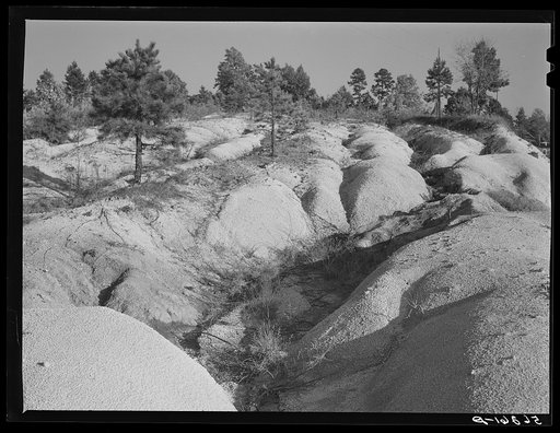 Soil erosion gullies on farm in Caswell County, North Carolina