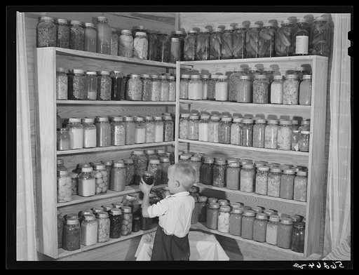 Bobby Willis, son of W.H. Willis, FSA (Farm Security Administration) borrower, getting some of their canned goods off the shelves his father built in their home near Yanceyville. Caswell County, North Carolina
