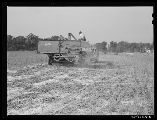Harvesting soybean seed on the Roger's farm with a co-op combine purchased by Emery M. Hooper through a FSA (Farm Security Administration) community service loan. Corbett Ridge section, Caswell County, North Carolina