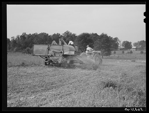 Harvesting soybean seed on the Roger's farm with a co-op combine purchased by Emery M. Hooper through a FSA (Farm Security Administration) community service loan. Corbett Ridge section, Caswell County, North Carolina