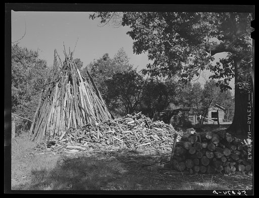Untitled photo, possibly related to: Stacks of wood for fuel on Emery Hooper's farm. Corbett Ridge section near Prospect Hill, Caswell County, North Carolina