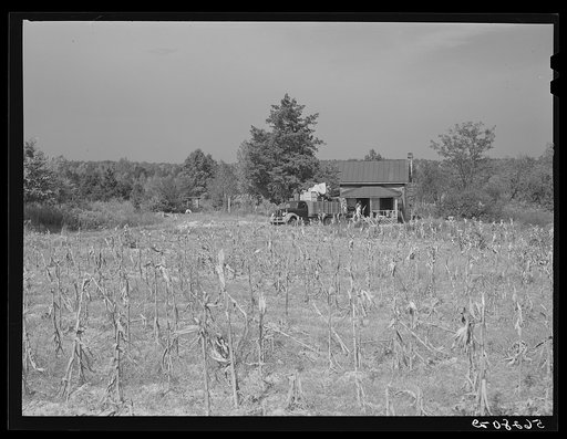 Untitled photo, possibly related to: In the fall of the year after the crops are up many tenants and sharecroppers move into another farm. This colored family was moving from this home near Yanceyville to one near Raleigh, North Carolina