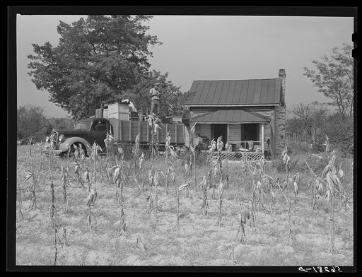 In the fall of the year after the crops are up many tenants and sharecroppers move into another farm. This colored family was moving from this home near Yanceyville to one near Raleigh, North Carolina