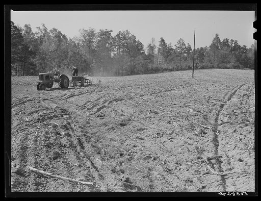 Untitled photo, possibly related to: Spreading lime to increase productivity of soil before planting winter wheat on Emery M. Hopper's tobacco farm in Corbett Ridge section. Caswell County, North Carolina