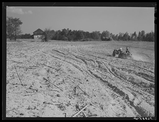 Untitled photo, possibly related to: Spreading lime to increase productivity of soil before planting winter wheat on Emery M. Hopper's tobacco farm in Corbett Ridge section. Caswell County, North Carolina