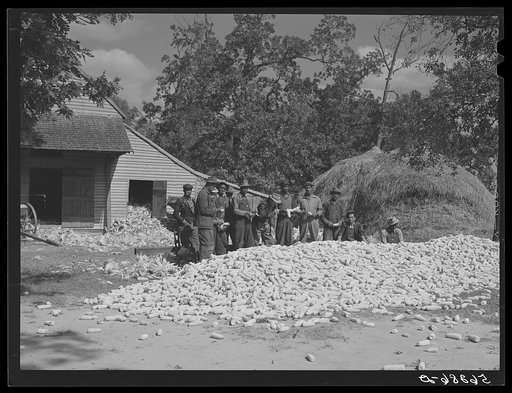 Untitled photo, possibly related to: Colored hands and helpers from nearby farms resting after a corn shucking before dinner on the Hooper farm. Corbett Ridge section. Caswell County, North Carolina
