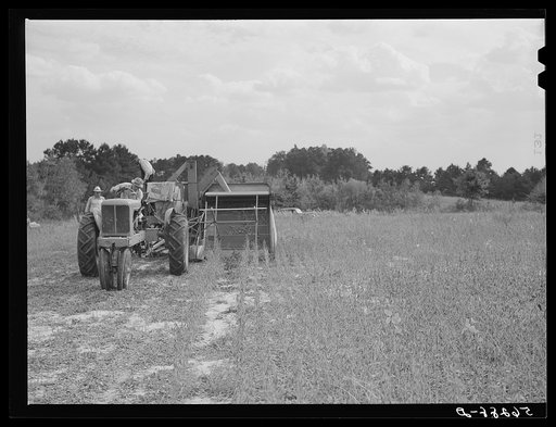 Harvesting soybean seed on the Roger's farm with a co-op combine purchased by Emery M. Hooper through a FSA (Farm Security Administration) co-op community service loan. Corbett Ridge section, Caswell County, North Carolina