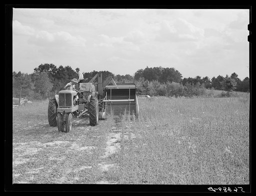 Untitled photo, possibly related to: Harvesting soybean seed on the Roger's farm with co-op combine purchased by Emery M. Hooper through a FSA (Farm Security Administration) co-op community service loan. Corbett Ridge section, Caswell County, North Carolina