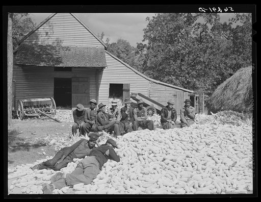 Colored hands and helpers from nearby farms resting after a corn shucking before dinner on the Hooper farm. Corbett Ridge section. Caswell County, North Carolina