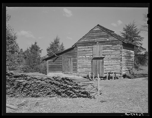 Sticks used in stripping tobacco in front of strip house on Emery Hooper's farm in Corbett Ridge section near Prospect Hill. Caswell County, North Carolina