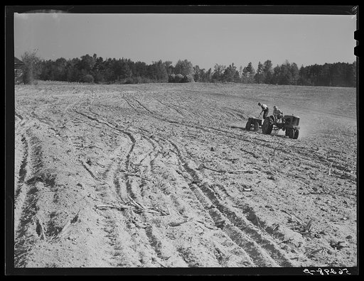 Untitled photo, possibly related to: Spreading lime to increase productivity of soil, before planting winter wheat on Emery M. Hooper's tobacco farm in Corbett Ridge section. Caswell County, North Carolina