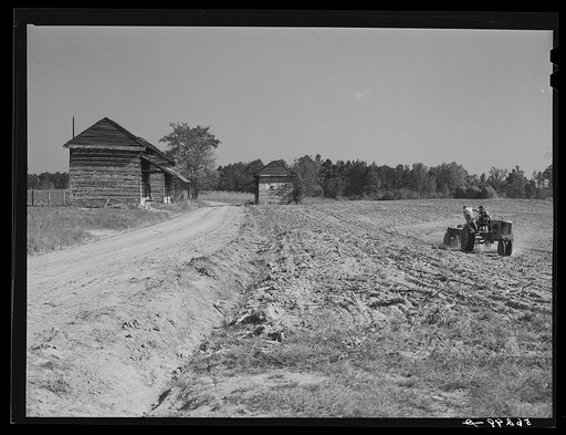 Spreading lime to increase productivity of soil, before planting winter wheat on Emery M. Hooper's tobacco farm in Corbett Ridge section. Caswell County, North Carolina