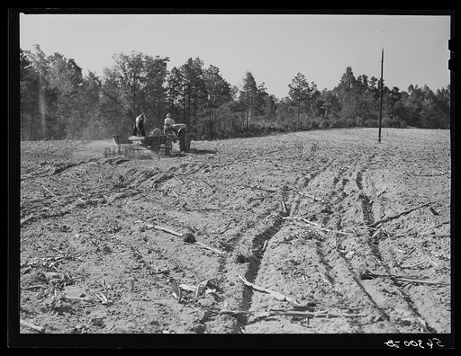 Untitled photo, possibly related to: Spreading lime to increase productivity of soil, before planting winter wheat on Emery M. Hooper's tobacco farm in Corbett Ridge section. Caswell County, North Carolina