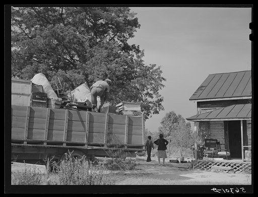 In the fall of the year after the crops are up many tenants and share croppers move into another farm. This colored family was moving from this farm near Yanceyville to one near Raleigh, North Carolina