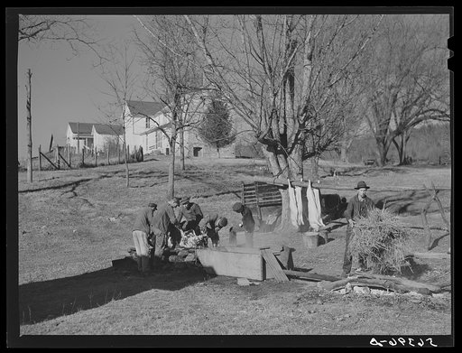 Untitled photo, possibly related to: Hog killing near Luray, Virginia