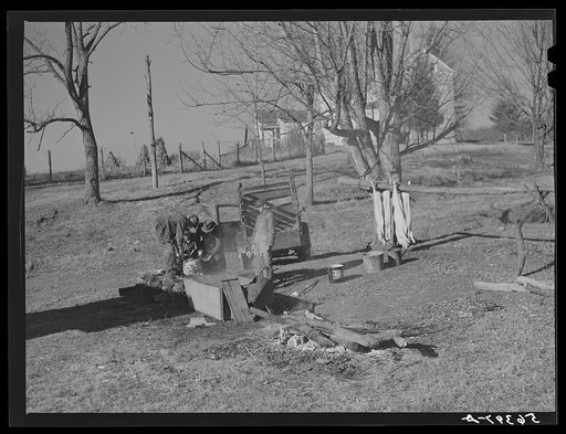 Hog killing near Luray, Virginia