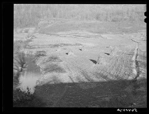 Many drainage ditches have been made and creeks cleaned out and land cleared on the creek bottom land of the farms of FSA (Farm Security Administration) borrowers. Southern Appalachian Project near Barbourville, Knox County, Kentucky