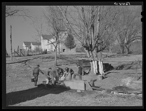 Hog killing near Luray, Virginia
