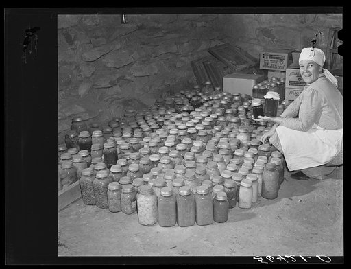 Josh Calahan's wife with some of her canned goods in the cellar of their new home. Southern Appalachian Project near Barbourville, Knox County, Kentucky