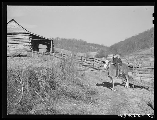 Untitled photo, possibly related to: Two of Dutton ("Dut") Calleb's children watering the mule. Southern Appalachian Project near Barbourville, Knox County, Kentucky
