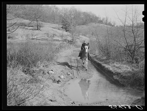 Two of Dutton ("Dut") Calleb's children on the back of a mule. Southern Appalachian Project near Barbourville, Knox County, Kentucky