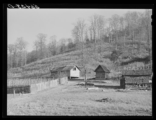 Josh Calahan's old home and barns with corn field on the hillside.  Southern Appalachian Project near Barbourville, Knox County, Kentucky
