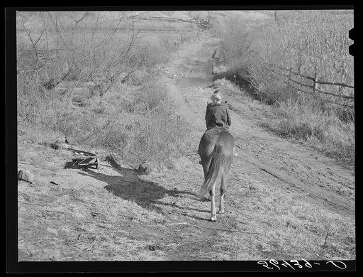Untitled photo, possibly related to: Two of Dutton ("Dut") Calleb's children watering the mule. Southern Appalachian Project near Barbourville, Knox County, Kentucky