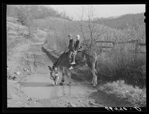 Two of Dutton ("Dut") Calleb's children watering the mule. Southern Appalachian Project near Barbourville, Knox County, Kentucky