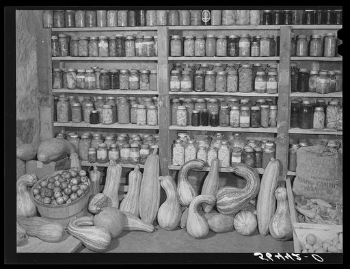 Part of the canned goods and home grown vegetables in the new storage house of Mr. and Mrs. William S. Allen. Southern Appalachian Project near Barbourville, Knox County, Kentucky