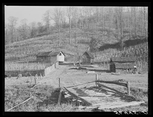Untitled photo, possibly related to: Josh Calahan's old home and barns with corn field on the hillside. Southern Appalachian Project near Barbourville, Knox County, Kentucky