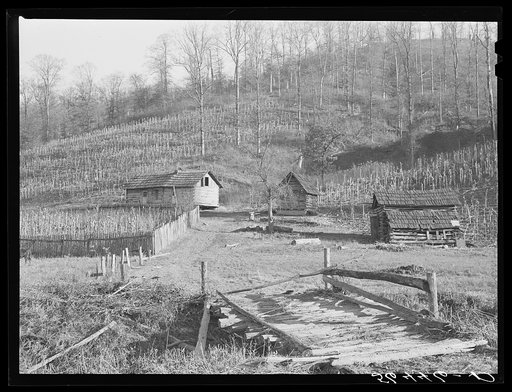 Josh Calahan's old home and barns with corn field on the hillside. Southern Appalachian Project near Barbourville, Knox County, Kentucky