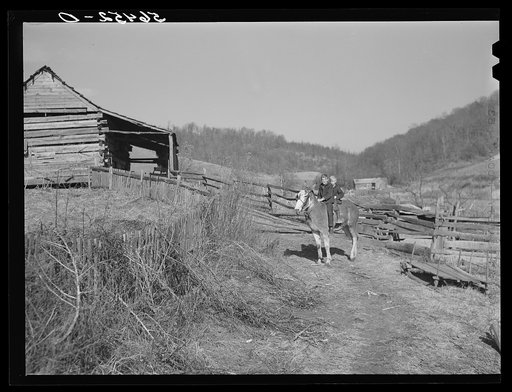 Untitled photo, possibly related to: Two of Dutton ("Dut") Calleb's children watering the mule. Southern Appalachian Project near Barbourville, Knox County, Kentucky