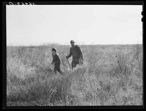 Spanish muskrat trapper and his son returning in the late afternoon after making the rounds of his traps in the marshes near his camp. Delacroix Island, Saint Bernard Parish, Louisiana