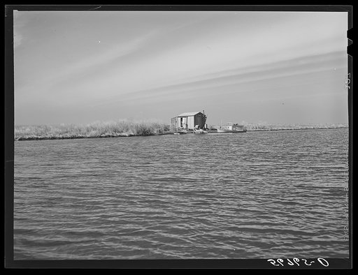 Untitled photo, possibly related to: Spanish trapper's camp in the marshes. In the small "piroque" (or canoe) he can go up the very narrow and shallow bayous; the large boat he uses for fishing, going to the island to sell his muskrat pelts, and bring back supplies. Delacroix Island, Saint Bernard P