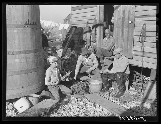 Spanish trappers putting the muskrat skins on wire stretchers before hanging them up to dry in back of their marsh camp. Delacroix Island, Saint Bernard Parish, Louisiana