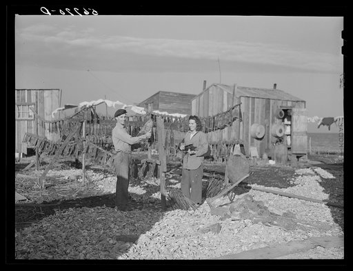 Untitled photo, possibly related to: Trappers' camps in the marshes near Delacroix Island, Louisiana. See general caption no. 1