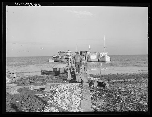 Spanish trapper's boats in the marshes. The small "piroque" (or canoe) can go up the very narrow and shallow bayous. The larger boats are used for fishing, going to the island to sell his muskrat pelts and bringing back supplies. Delacroix Island, Saint Bernard Parish, Louisiana