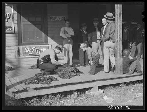 Grading muskrats while fur buyers and Spanish trappers look on during auction sale on porch of community store in Saint Bernard, Louisiana
