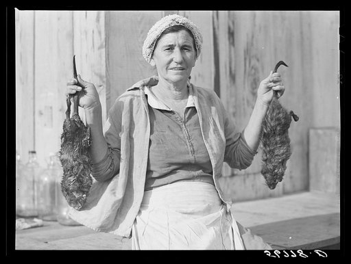 Spanish trapper's wife with skins of muskrats her husband just brought home to their marsh camp. Delacroix Island, Saint Bernard Parish, Louisiana