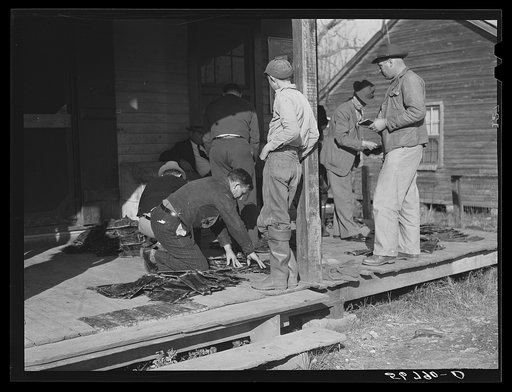 Untitled photo, possibly related to: Spanish trappers and fur buyers crowd around FSA (Farm Security Administration) supervisor as he opens and reads the bids on that lot of muskrats. The auction sale is on porch of community store. Saint Bernard, Louisiana