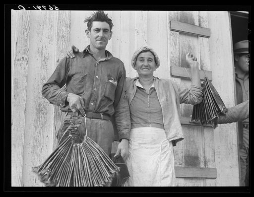 Untitled photo, possibly related to: Spanish trapper's wife with skins of muskrats her husband just brought home to their marsh camp. Delacroix Island, Saint Bernard Parish, Louisiana